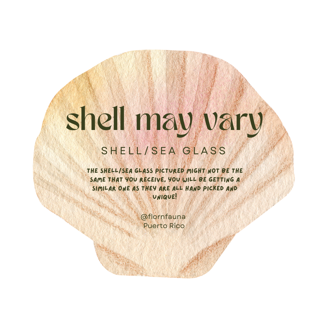 SHELL HOOPS