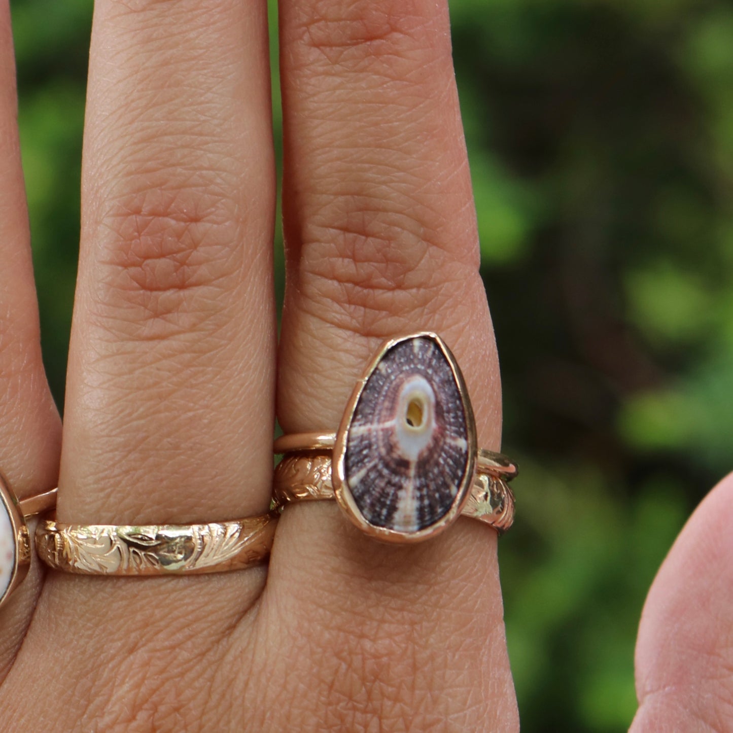 LIMPET RING