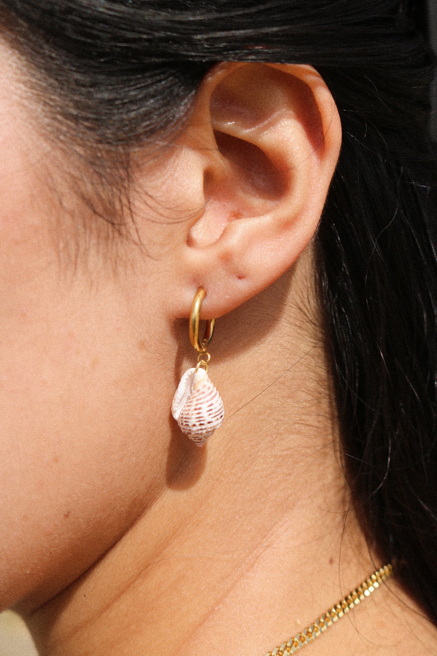 SHELL HOOPS
