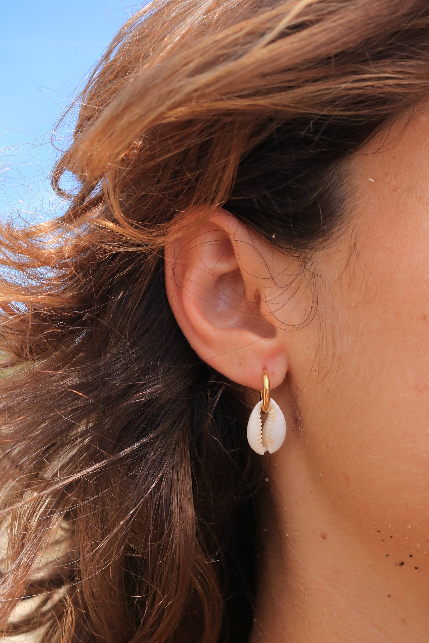 HOOPS