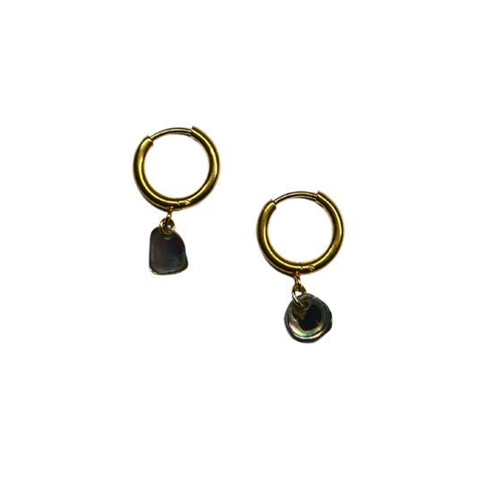 ABALONE HOOPS