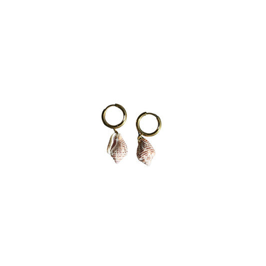 SHELL HOOPS