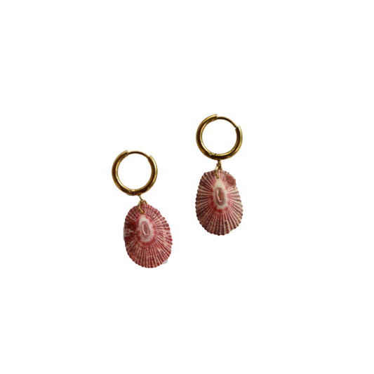 PINK SHELL HOOPS